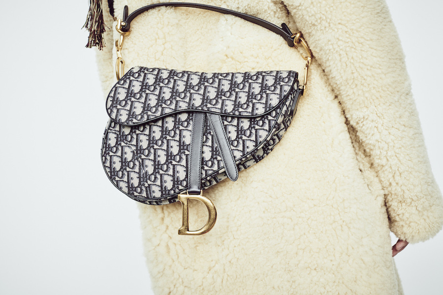 Dior Saddle Bag AW18
