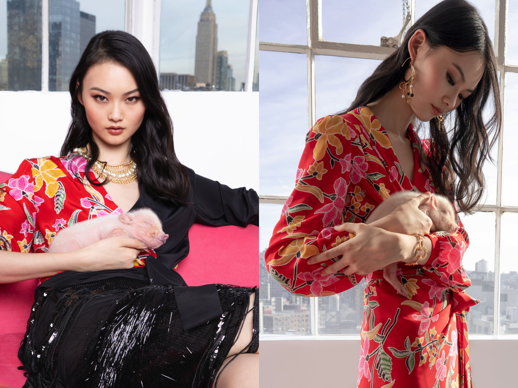 DVF Chinese New Year 2019 Ad Campaign
