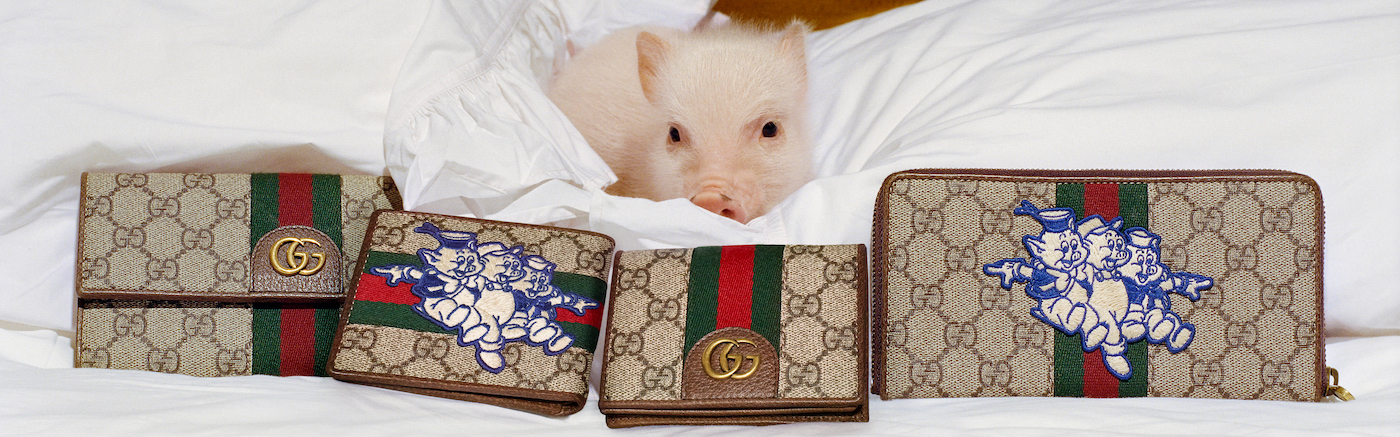 gucci wallet pig