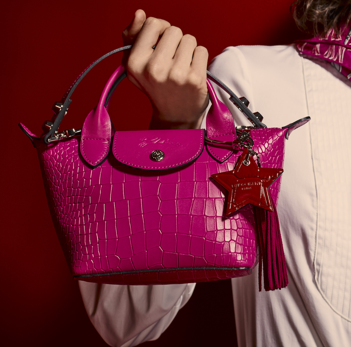 Christmas Gift Ideas: Longchamp - BagAddicts Anonymous